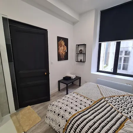 Apartman La Versailles Avec Jaccuzzi Prive - Luxe - Hypercentre